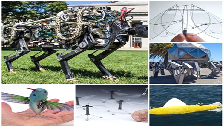 Ini Dia 6 Robot yang Terinspirasi dari Hewan di Dunia Nyata