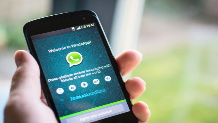 Whatsapp kembali ke bisnis di Brazil