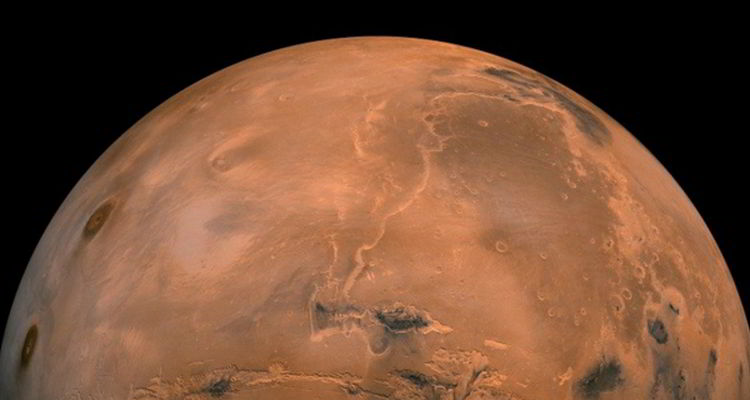 Ilmuwan Belanda Berhasil Tumbuhkan Tanaman di Tanah Mars