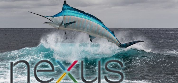 Spesifikasi Nexus Marlin Muncul di AnTuTu
