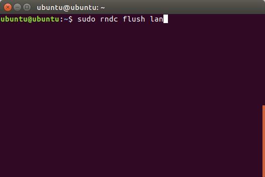 Cara Flush DNS Cache di Linux