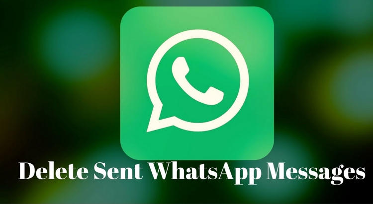 Cara Hapus Pesan Terkirim Whatsapp Di Android Dan Iphone