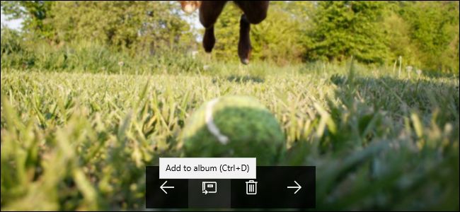 Cara Menggunakan Aplikasi Bawaan Photos Di Windows 10 G