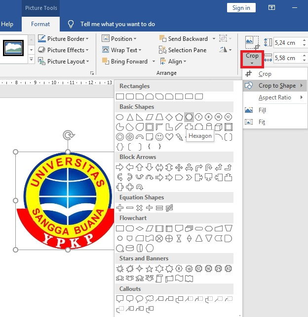 Panduan Formatting Picture Di Microsoft Word 4